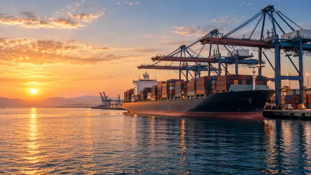 Container ship at a quay with cargo cranes